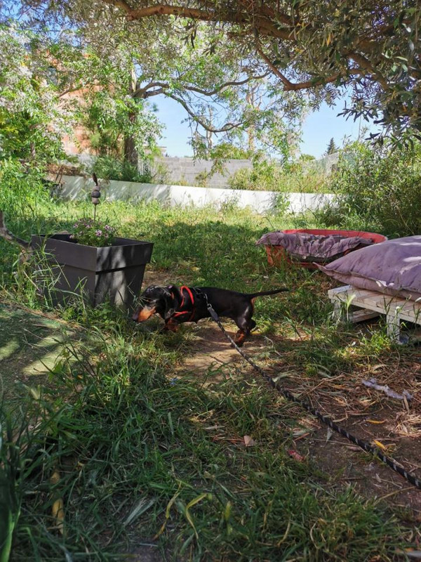 [Image: image000000-109.jpg]