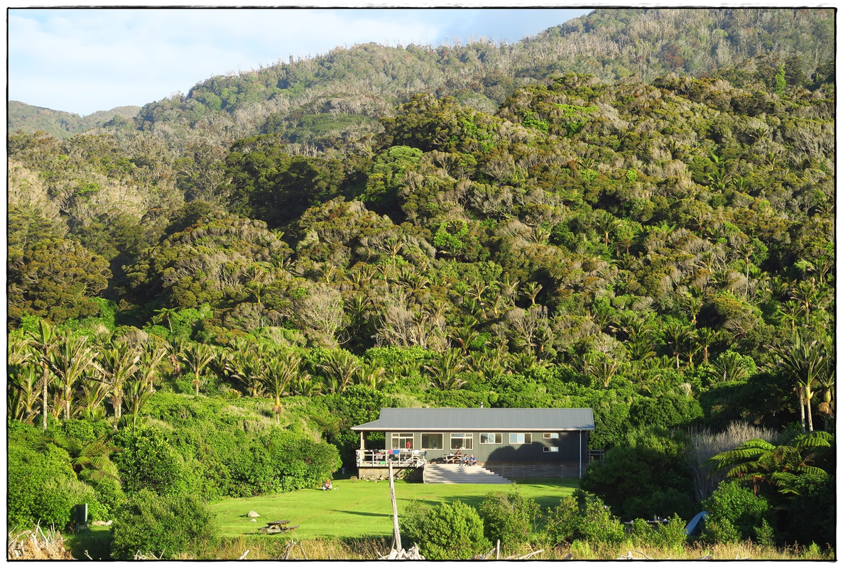 Escapadas y rutas por la Nueva Zelanda menos conocida - Blogs de Nueva Zelanda - Kahurangi NP: Heaphy Track (Navidad 2020, III) (36)