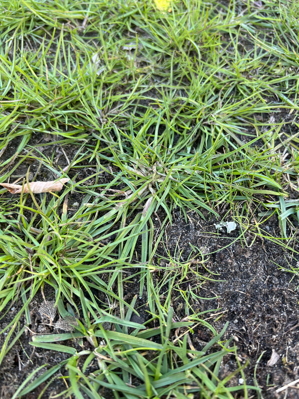 660BC916-6EC5-409D-9CA3-B234C108FD75