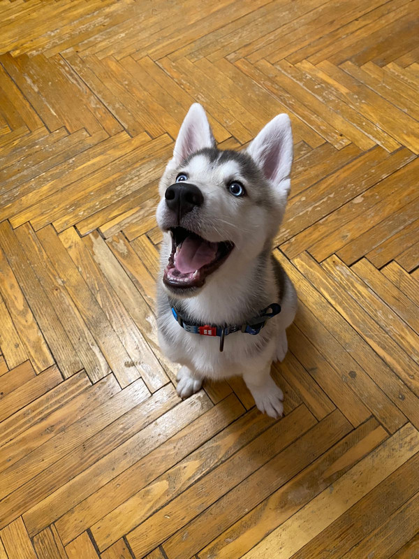 6A5F7777-8912-423C-AB68-B8AD28593E0F