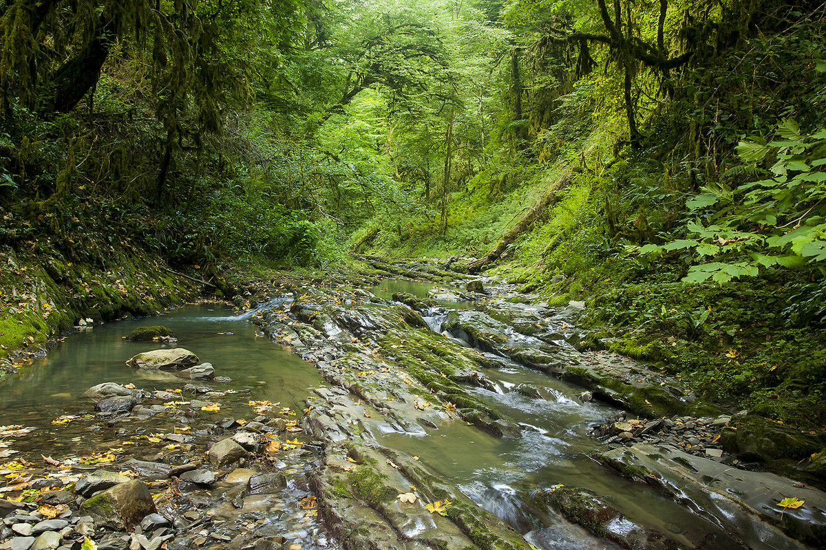 green-stream.jpg