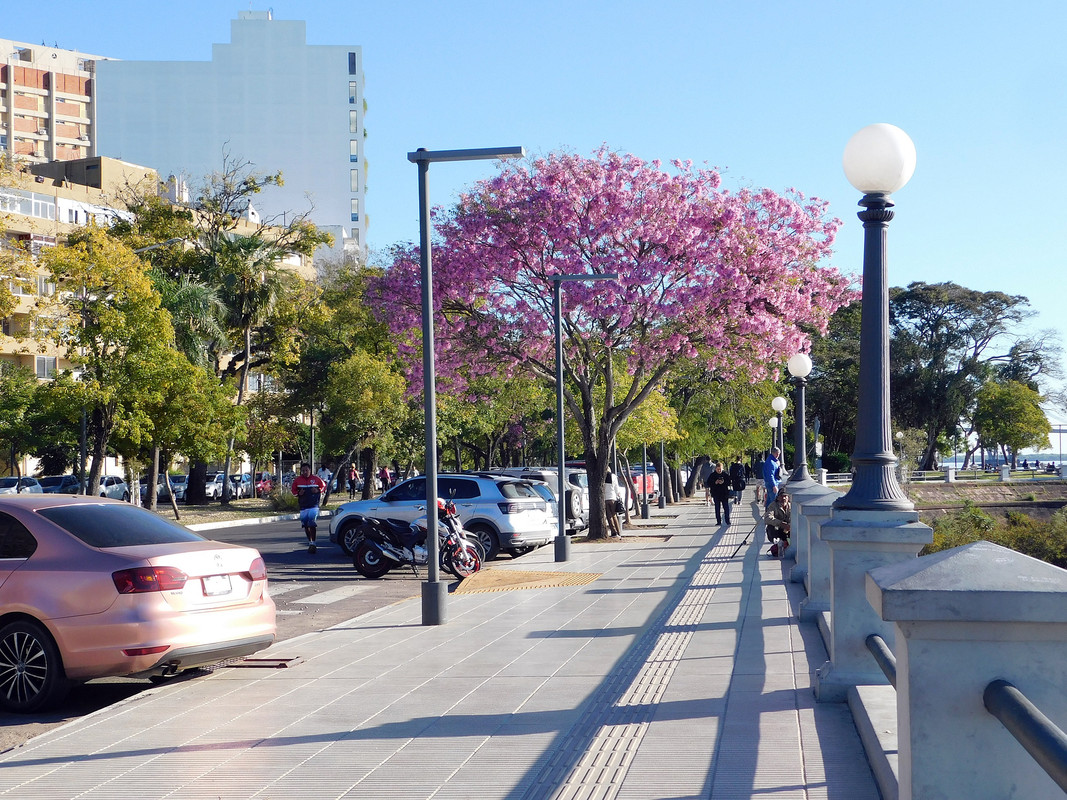 DSCN0672.jpg