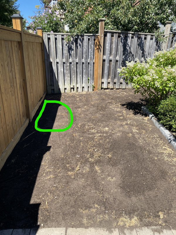 InkedInkedPhoto 2022-08-14, 12 13 56 1PM