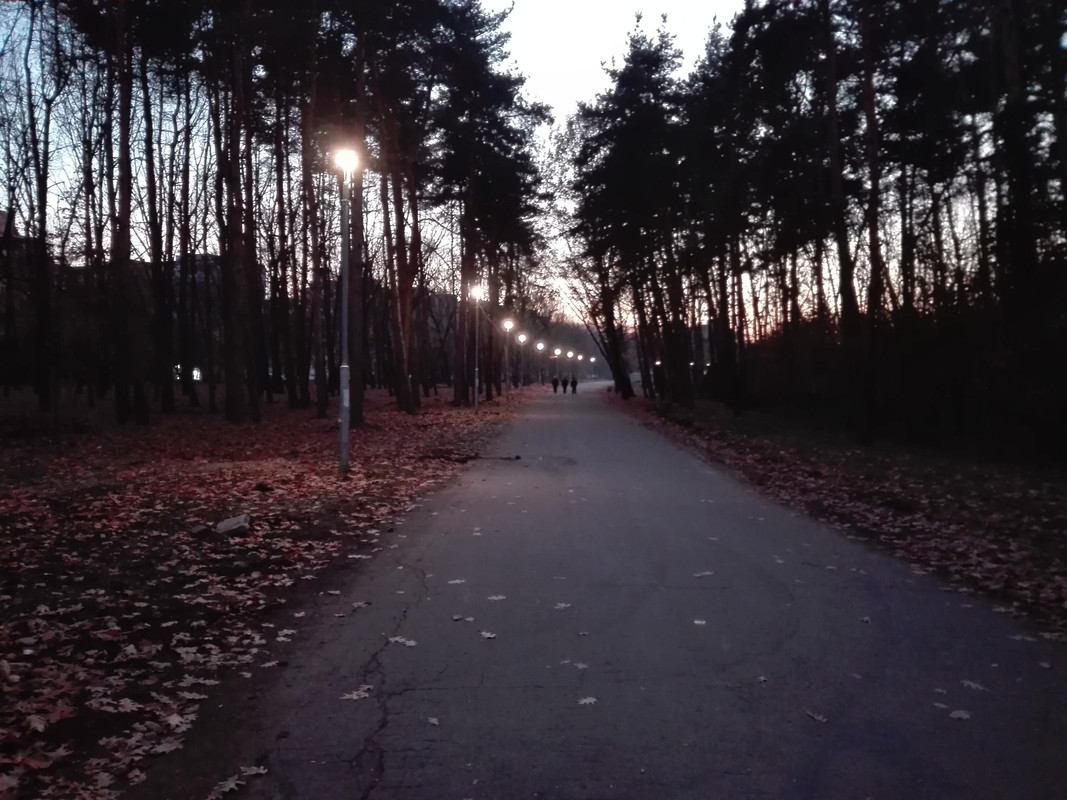 IMG-20181112-172536.jpg