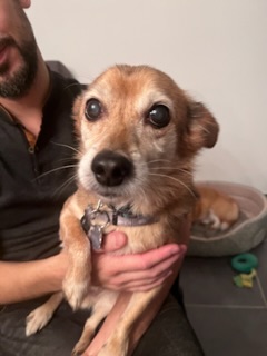 [Image: 532-FFE76-C686-49-C7-824-B-B3-EBBEBB7-C5-F.jpg]