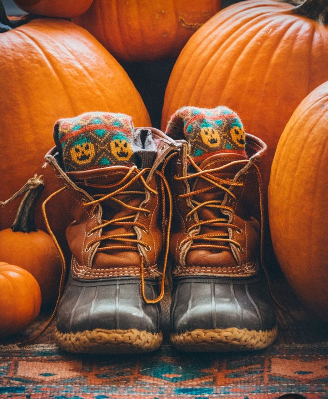 Screenshot_20231112_211700_Pinterest