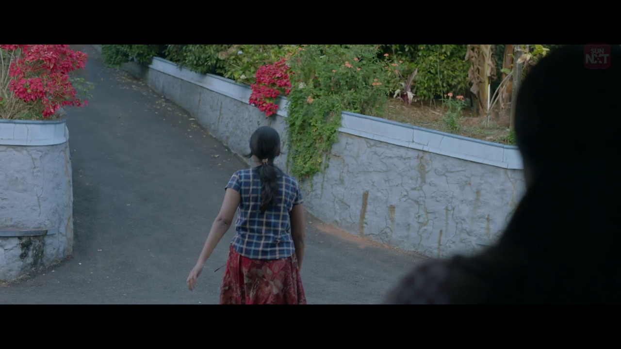 vlcsnap 2026 02 11 15h56m37s088