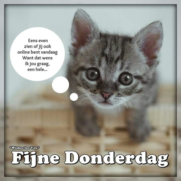 e08b6afd905f2d580e9c0db8312055cb.jpg