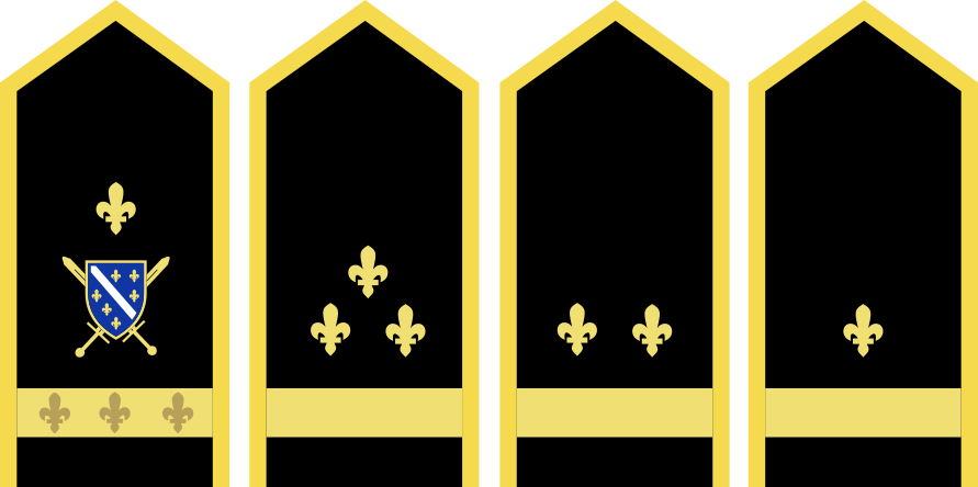 CIN2