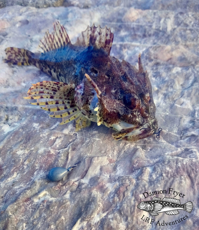 80B3092C-6E72-4CE8-83BD-E4F41A7EB080