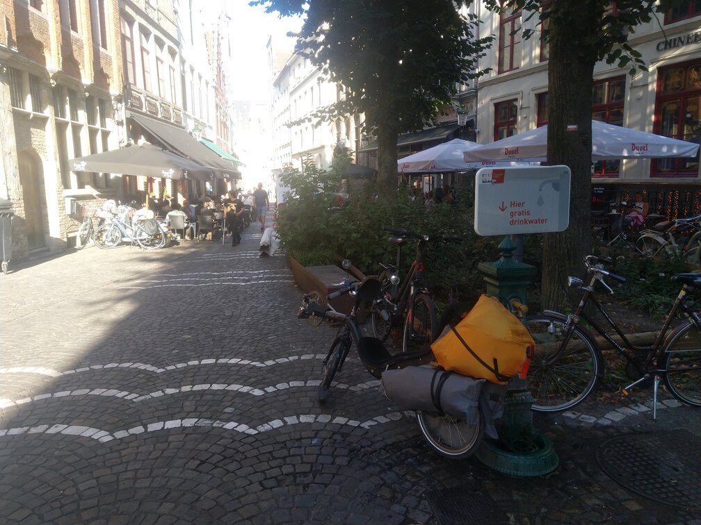 [Afbeelding: IMG-20240827-182831.jpg]