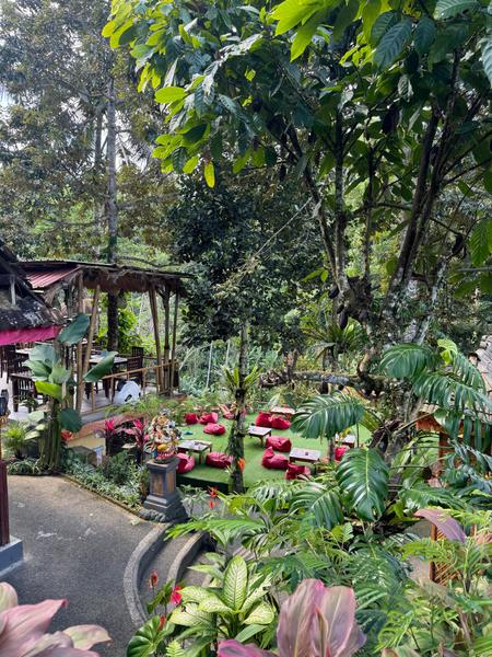 6 Aviones, 3 barcos y 2 trenes, empezando en Estambul y terminando Kuala Lump - Blogs de Indonesia - TERCERA PARADA: BALI (57)