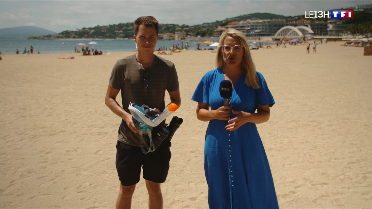 2022-07-12_13_00_TF1_Le-13h.mp4_snapshot_00.38.22.737
