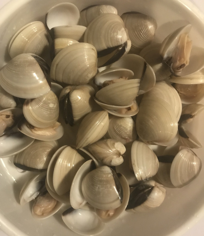 [Image: 75-B6-F3-C2-42-D9-4673-B984-DF6-E984-A53-D6.jpg]