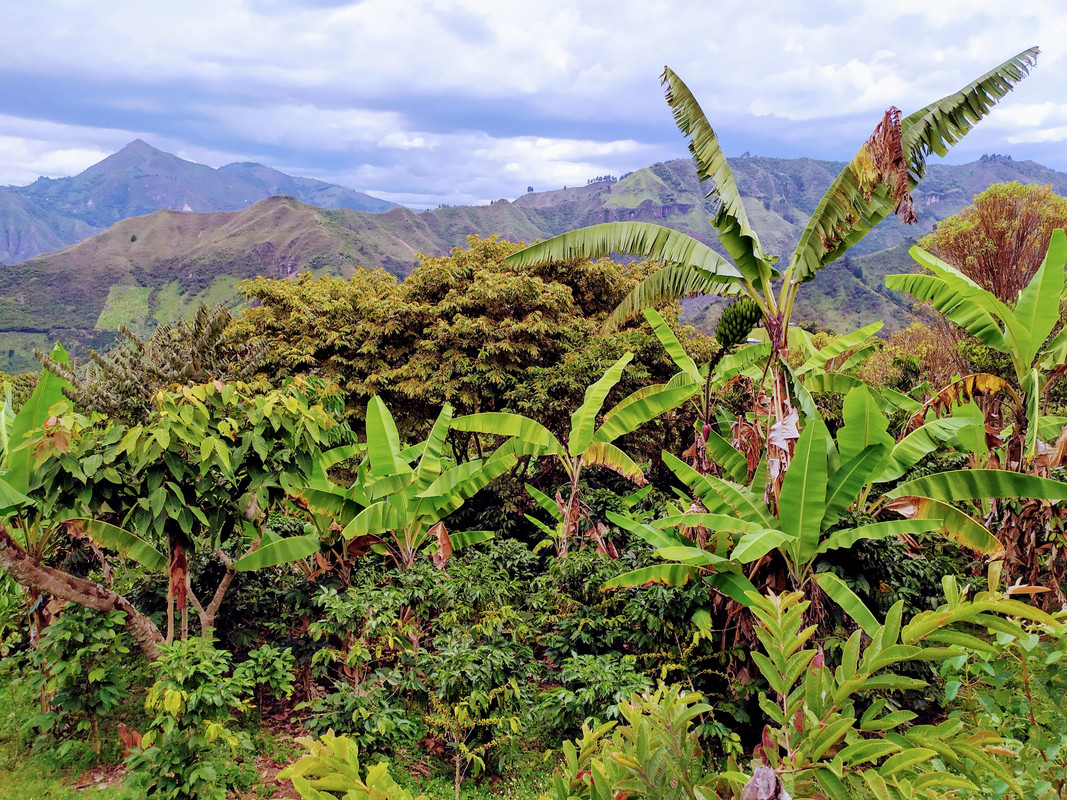 Parque de Tierradentro y ruta a San Agustín - Colombia por libre en 18 días (9)