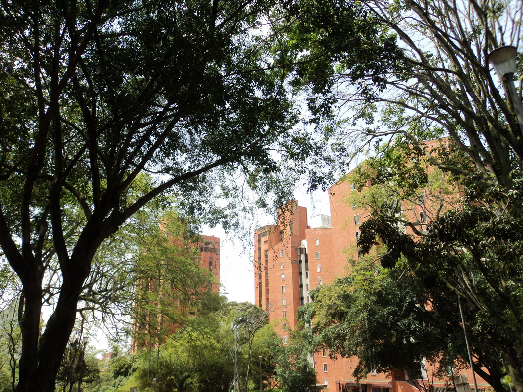 Henry-Ortiz-Utima-edificios-Bucaramanga-4