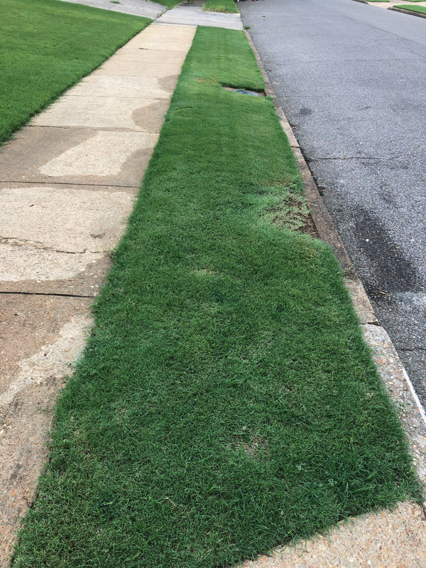 July 11th Front strip