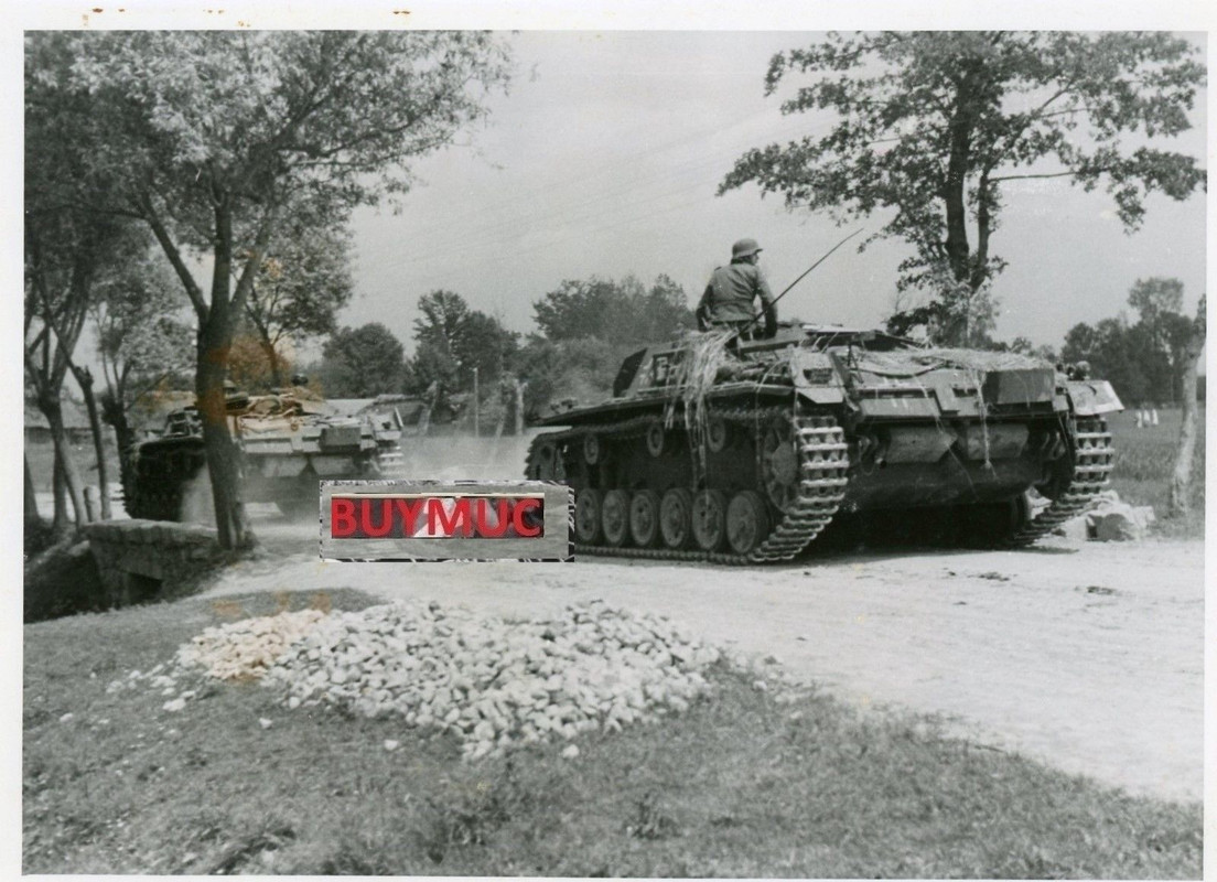 LARGE FOTO PANZER TANK STURMGESCHÜTZ RUSSIA 1941
