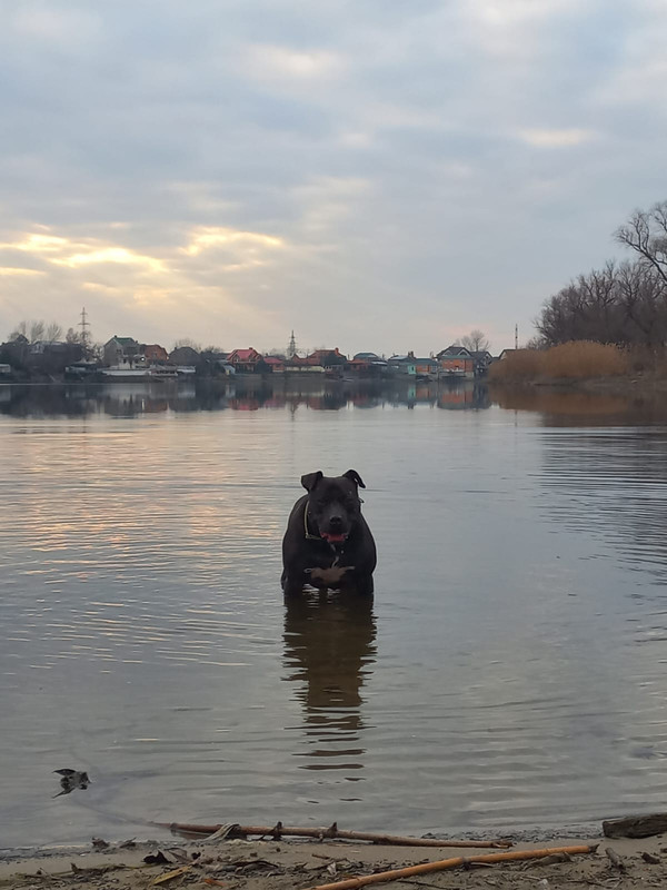 653A5A99-3695-4202-A73F-CFD39A6BED6E