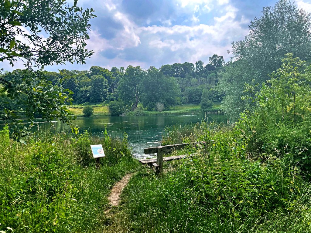 Lake-Bench-woods-HD.jpg
