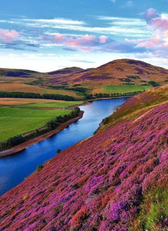 Screenshot_20231017_215120_Pinterest