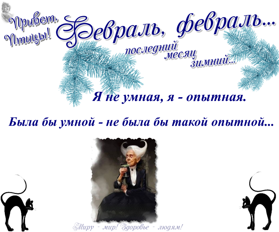 https://i.postimg.cc/RFT5fdZy/04-02.png