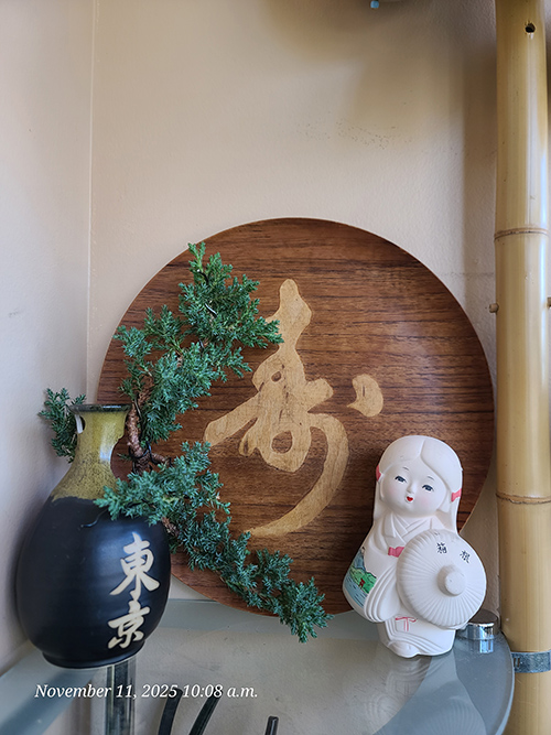 [Image: 20251111-100849.jpg]