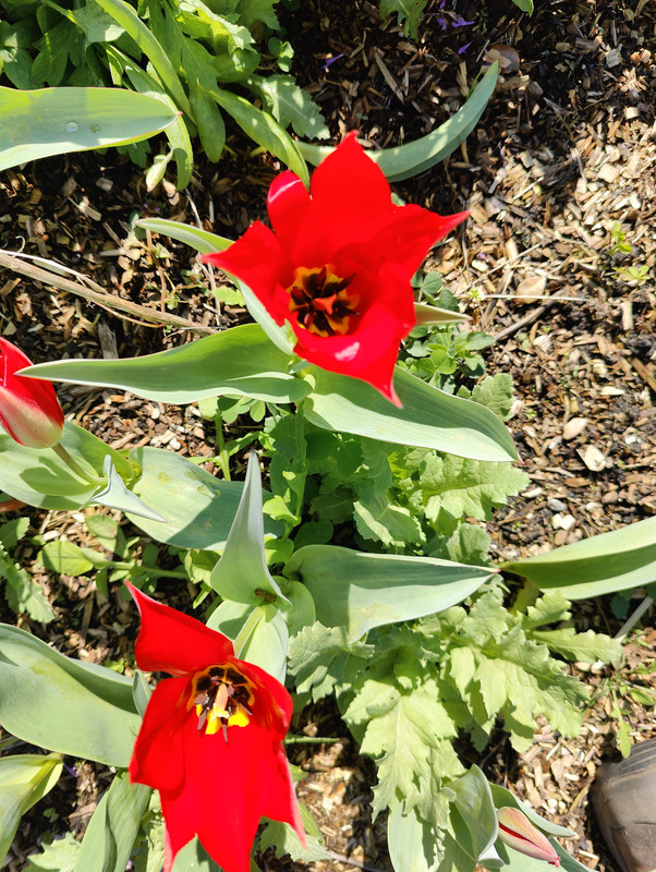 IMG20230402140257.jpg