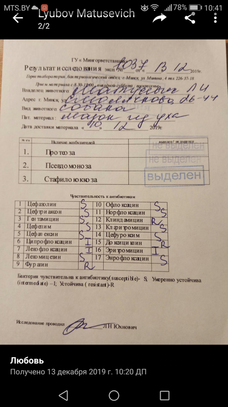 Screenshot_20191213-104150 (2)