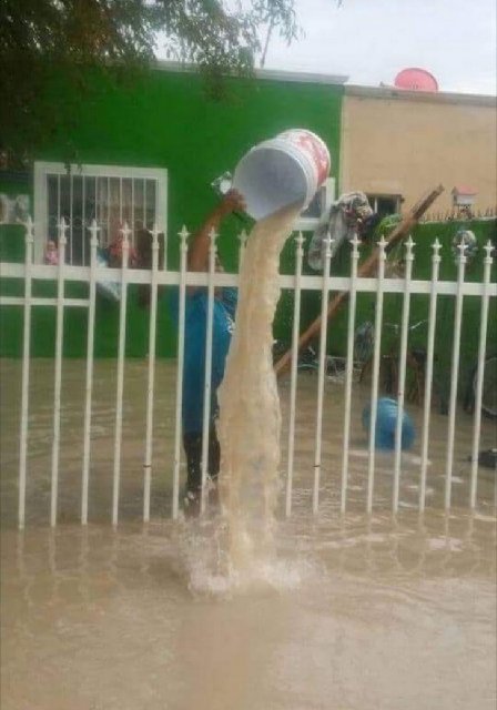 15142029-12178580-1570617966-728-b28cdd4