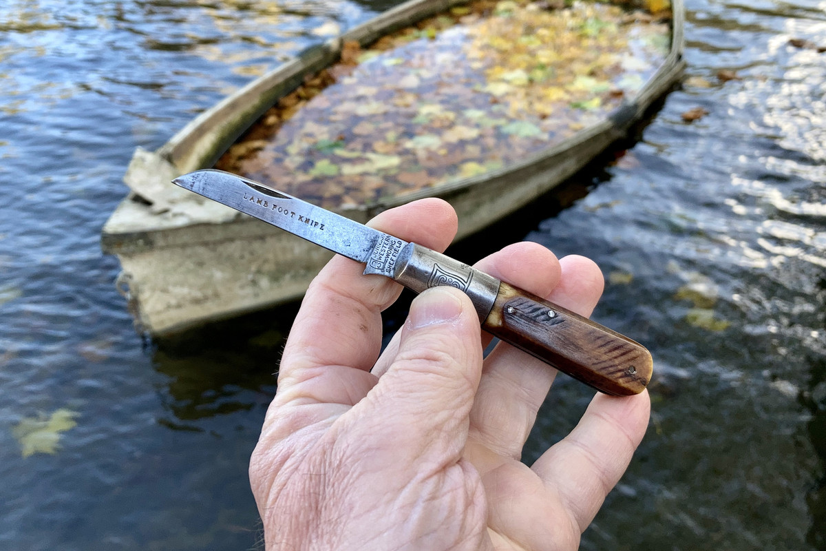 46CC83E9-F70A-4320-BAA2-073DED1BB601