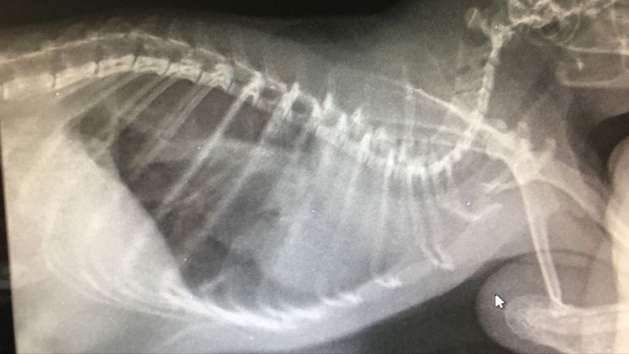 photo_2024-12-18_11-19-07 (2)