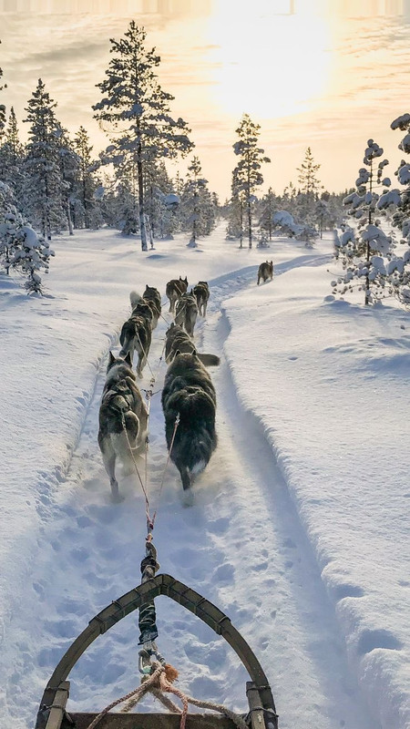 3473BD9E-E07F-466F-A715-F09F213DC0DC