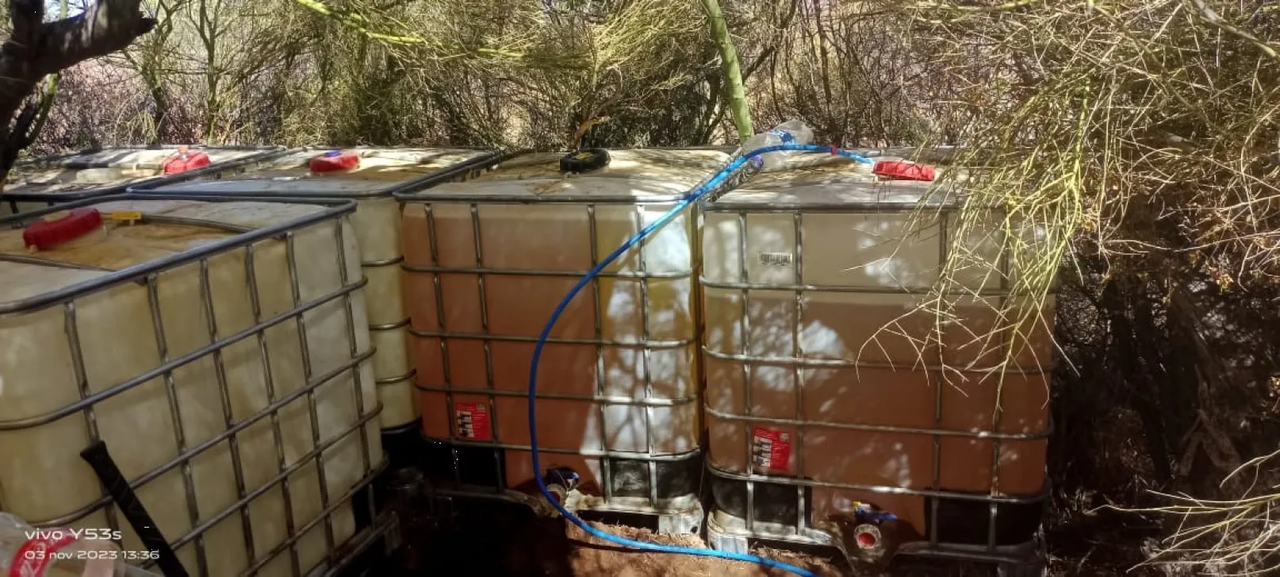 Combate al huachicol: Guardia Nacional localiza toma clandestina en Sonora