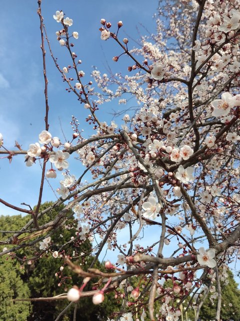 Еще немного Кавказа. Ставрополье в декабре и Дагестан в апреле