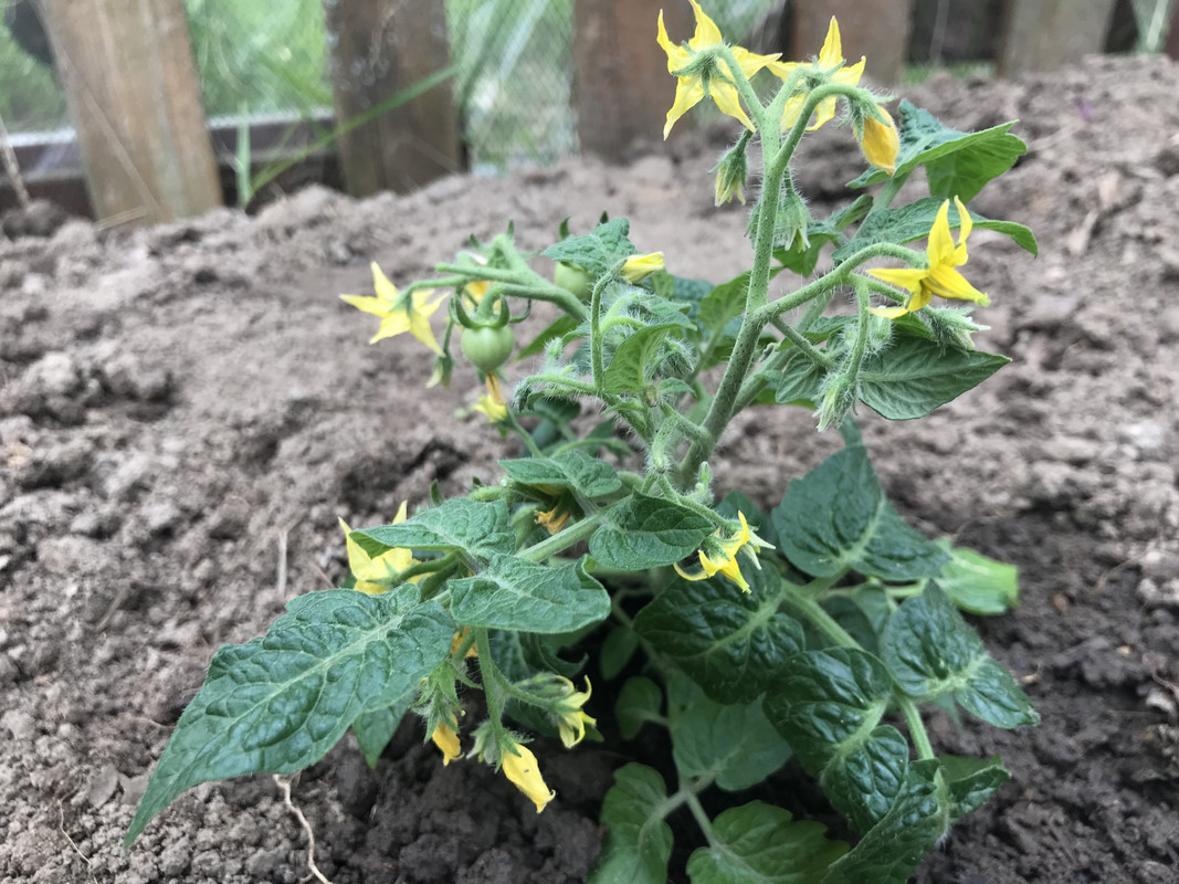 Фото дня 015-BE1-BE-6-B11-4547-BD82-355-A33-EE137-B