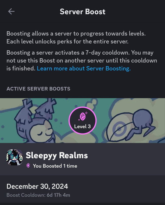 Screenshot_20241230_233424