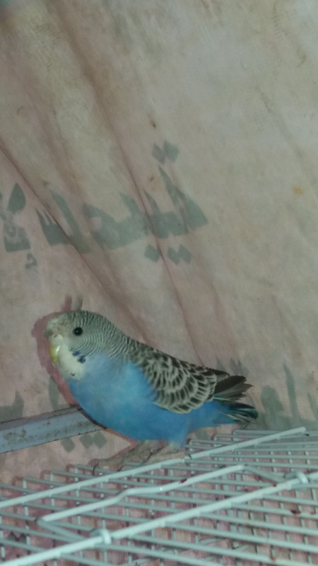 ٢?١٨?٤٢٢_١٧١٨٢٩