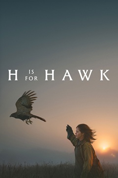 H Is For Hawk 2025 720p WEB-DL x264-TFPDL