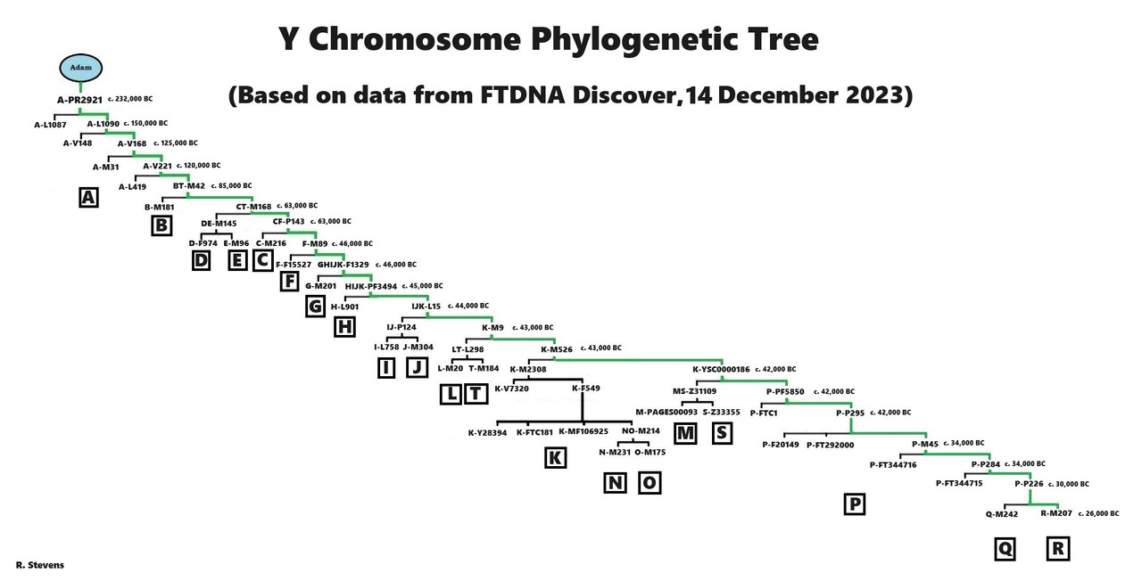 [Image: Y-DNA-Phylogenetic-Tree-w-dates-2023.jpg]