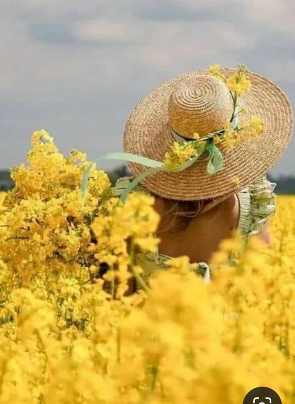 Screenshot_20240330_234557_Pinterest