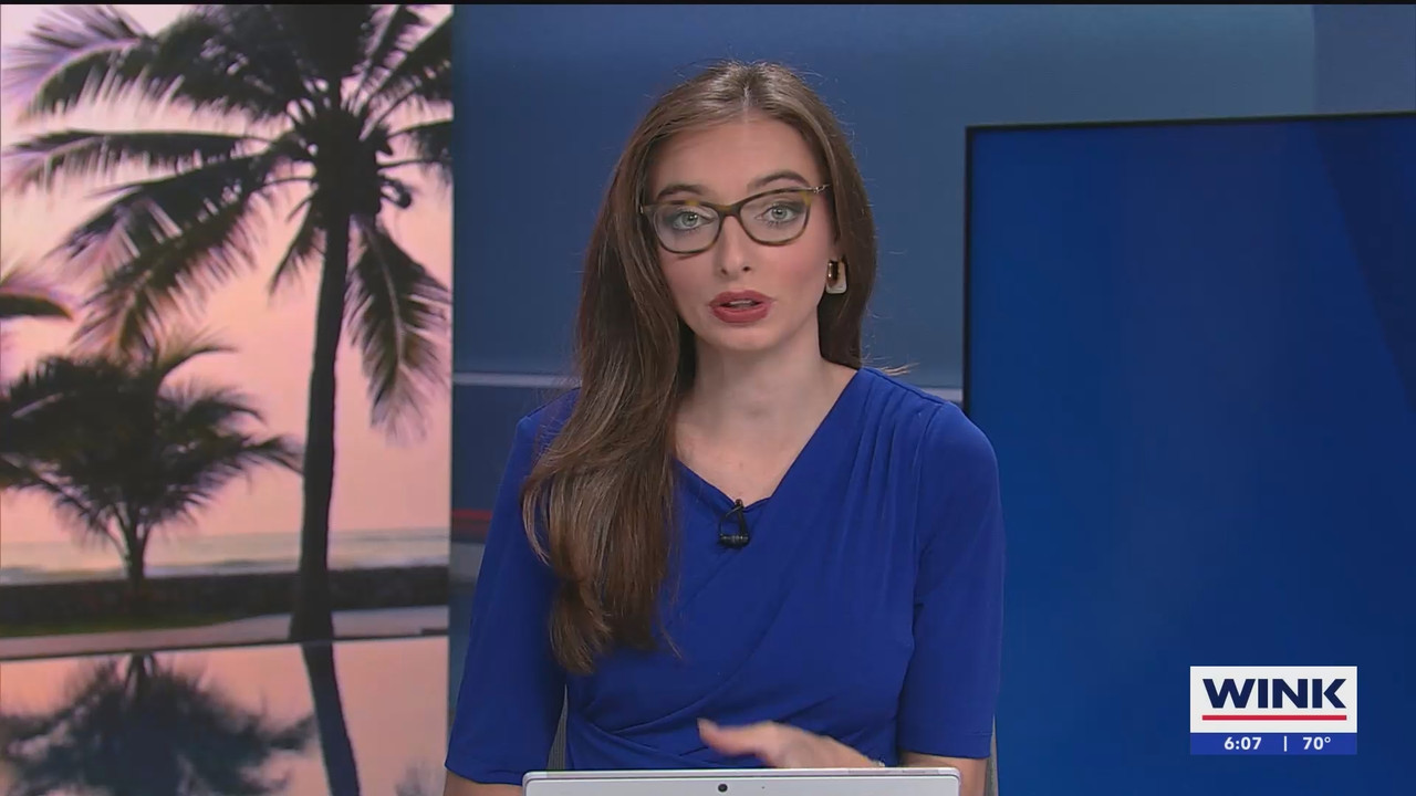 WINK NEWS at 600am Saturday_20250111_11001200.ts_snapshot_00.08.04.136