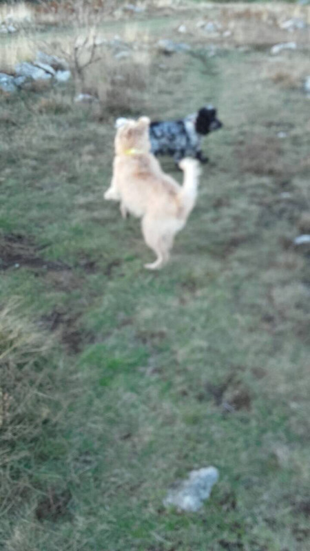 63CEE6CA-7D5A-4466-9B9A-2CCBCF6A3440