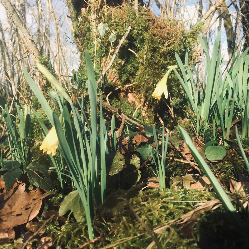 CBD35C77-D7FF-40EC-A1A1-00915450CCEE