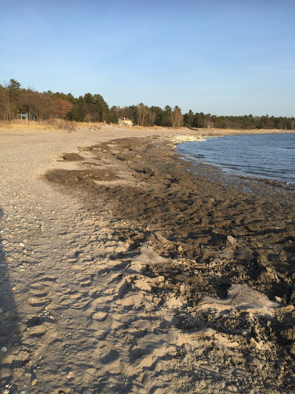 91B919D9-CD10-4380-8376-91FBF6575DD0