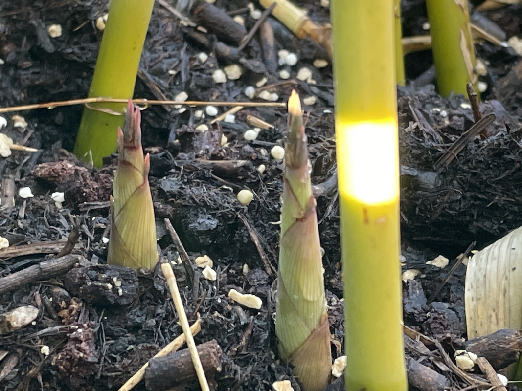 C1942031-9422-4B7C-9E5B-1DE743E62379