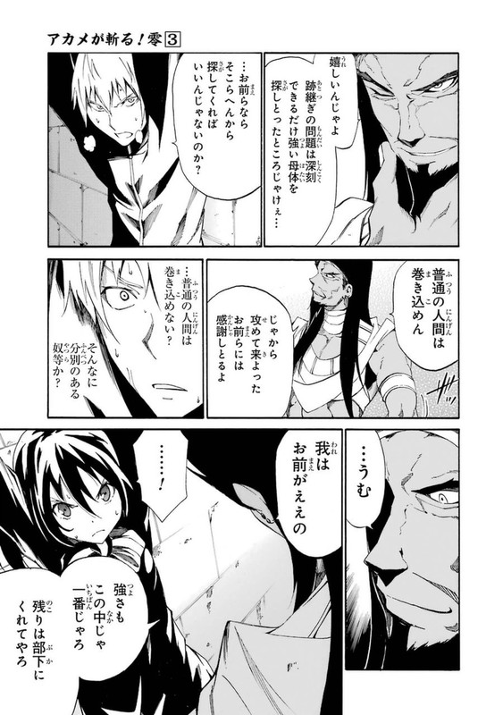 Akame ga Kill! ZeroVol3-21