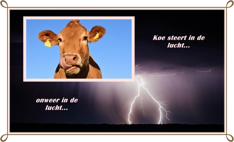 An den Beitrag angehängtes Bild: https://i.postimg.cc/RFY55VQz/NoK-1.jpg