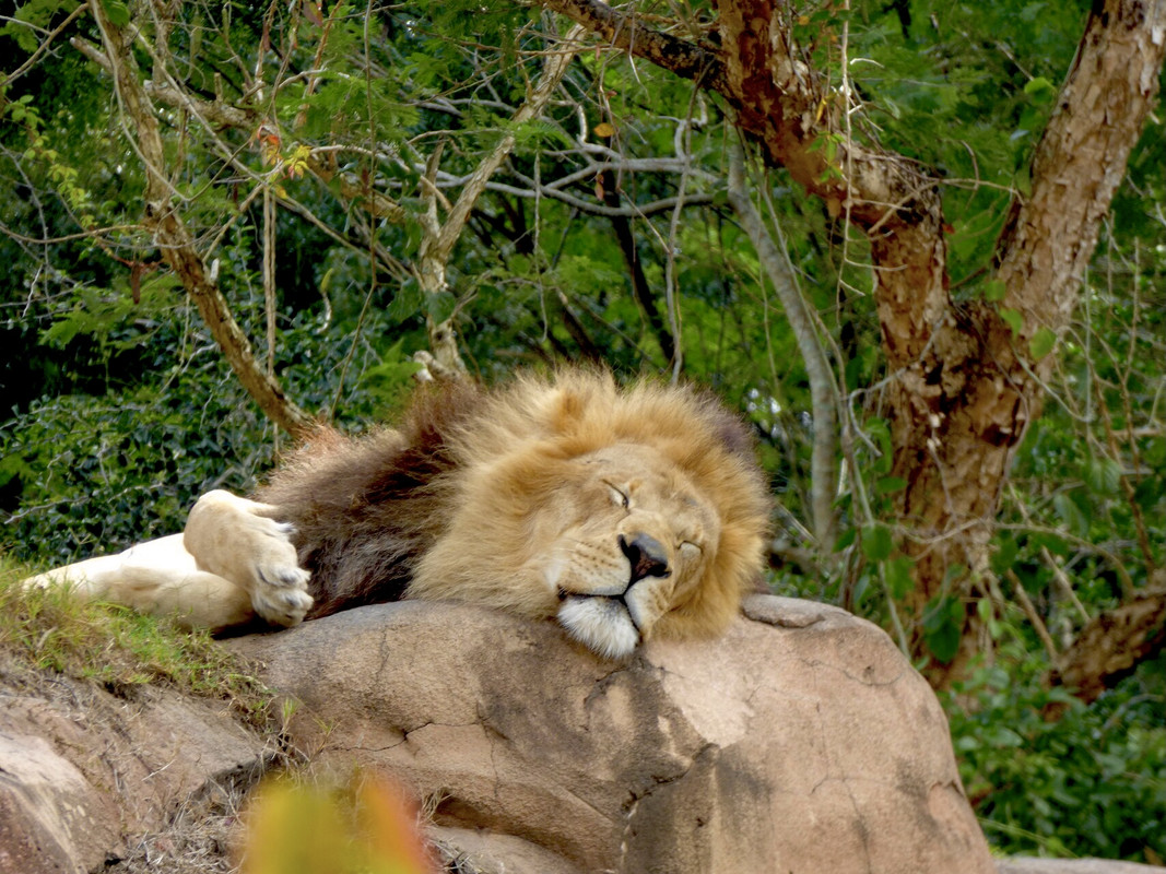 BF2B8C76-66E8-4621-A0D4-50E1918B4C15