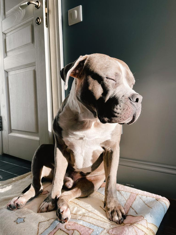 25E45D24-13B3-4B7E-99F8-3ABD518859E6